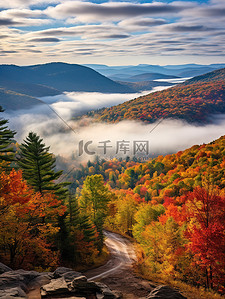 公路森林背景图片_秋天的森林公路背景9