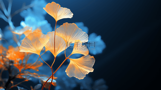 银杏飘落背景图片_秋天秋分时节质感纹理银杏叶背景