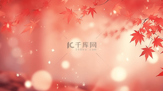 霜降节气红色枫叶背景