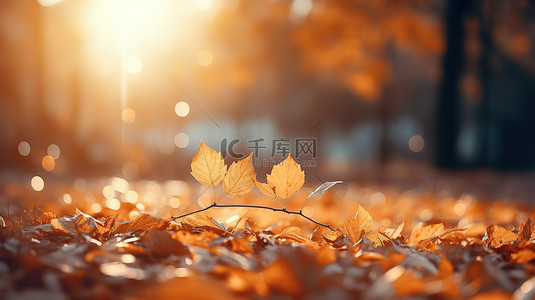 阳光背景图片_阳光下金色的树叶15