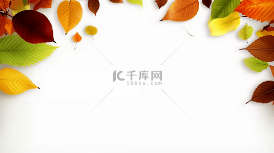 清新秋天叶子空白边框背景1