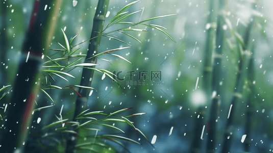 立冬竹叶背景图片_立冬节气雨雪里的竹林场景背景8