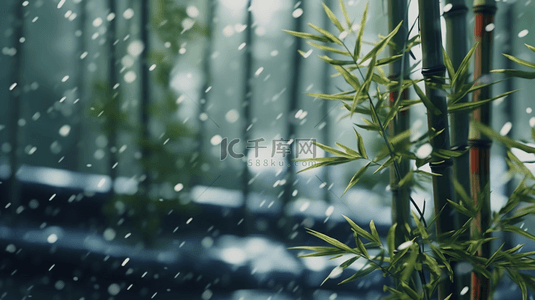 立冬竹叶背景图片_立冬节气雨雪里的竹林场景背景