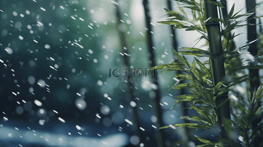 立冬竹叶背景图片_立冬节气雨雪里的竹林场景背景