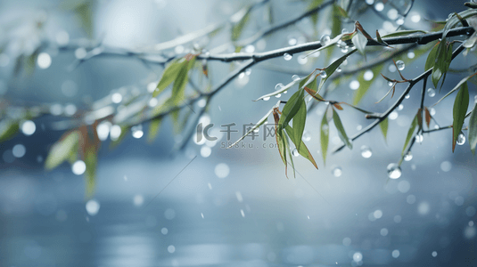 立冬竹叶背景图片_立冬节气雨雪里的竹林场景背景1