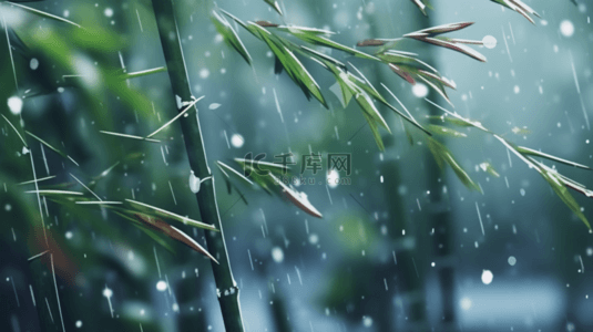 立冬竹叶背景图片_立冬节气雨雪里的竹林场景背景13