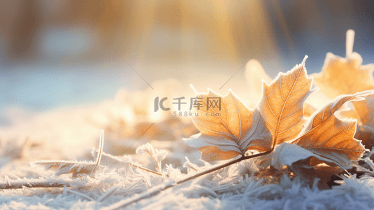 霜降自然景象写实背景11611