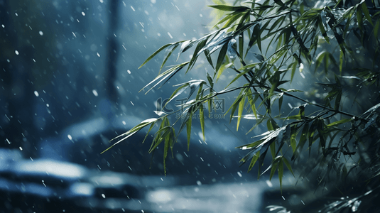 立冬节气雨雪里的竹林场景背景