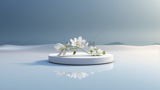 鲜花装饰的白色圆形电商展示台背景12