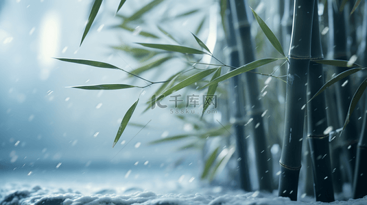 雪里背景图片_立冬节气雨雪里的竹林场景背景2