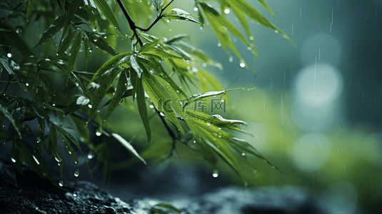 立冬节气雨雪里的竹林场景背景9