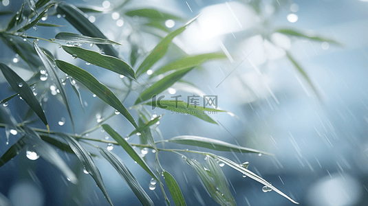 节气风景背景图片_立冬节气雨雪里的竹林场景背景3