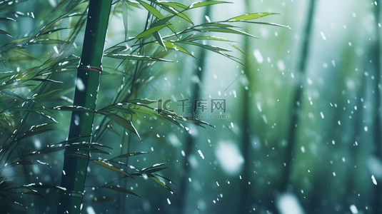 立冬竹叶背景图片_立冬节气雨雪里的竹林场景背景7