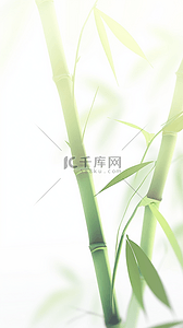 竹背景图片_文化寓意象征清新梅兰竹菊四君子之竹子背景