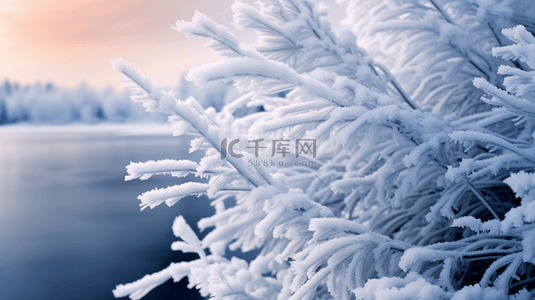 冬天背景图片_冬季雾凇植物质感背景6