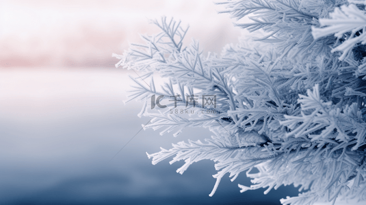 寒冷背景背景图片_冬季雾凇植物质感背景21