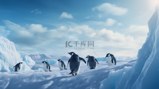 南极雪山背景图片_冬季南极企鹅动物背景34