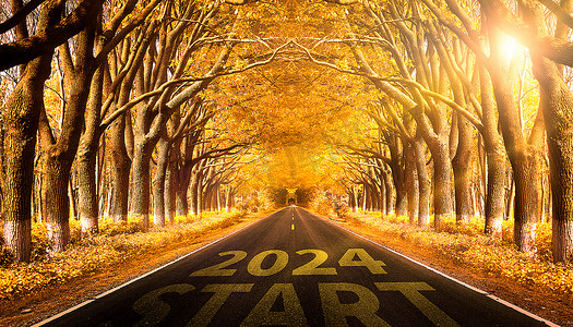 森林日落2024自然风光马路摄影图配图