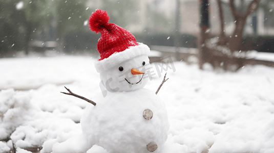 雪地摄影照片_冬季圣诞节雪地中的小雪人
