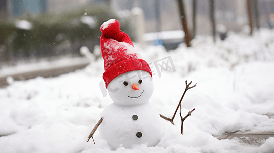 圣诞树摄影照片_冬季雪地中的小雪人