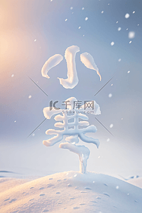 小寒节气冬天雪地背景117