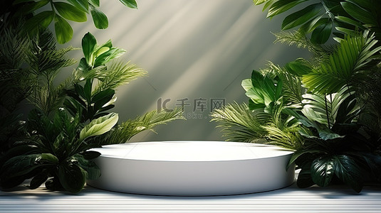 阳光背景图片_3D渲染白色展台电商背景6