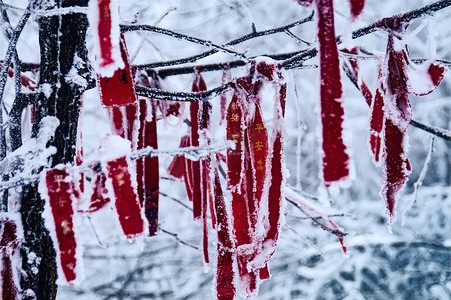湖南张家界天门山上冰冻的树木红丝带雪景