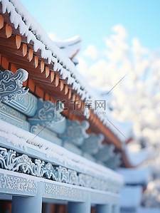 紫禁城背景图片_冬天下雪的故宫特写20背景图片