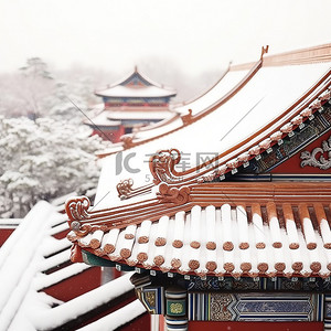 冬天雪景故宫大雪15背景图片
