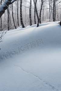 树林摄影照片_下雪天树林里的积雪图片3