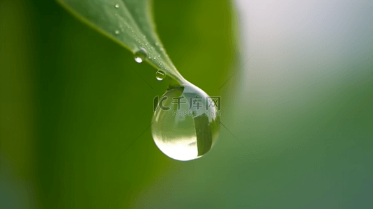 春天绿叶上的露珠水滴雨滴背景素材