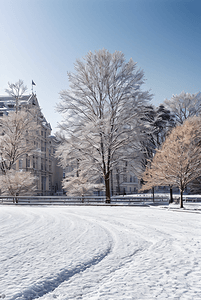 冬季户外积雪雪景摄影图99