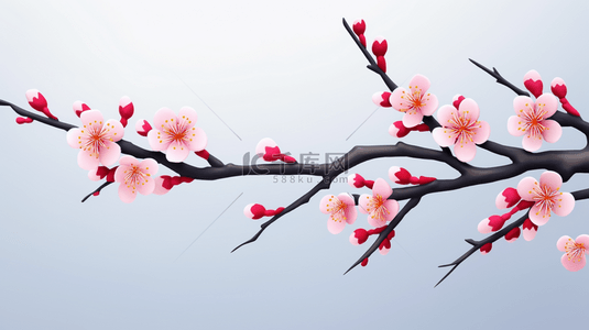 盛开的梅花背景图片_故宫中盛开的一枝梅花图片24