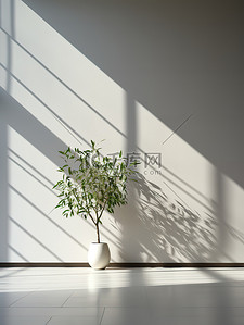 绿植盆栽阳光背景墙6