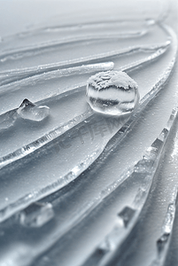 寒冷冬季结晶冰霜图99
