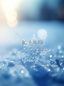 冬天唯美的雪花白雪10图片