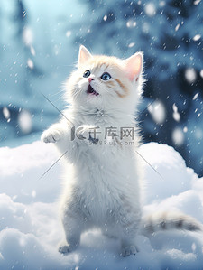 壁纸win7背景图片_冬天的小猫雪中跳跃壁纸7背景素材
