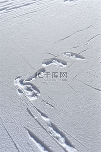 冬天寒冷冬季白色雪景图173