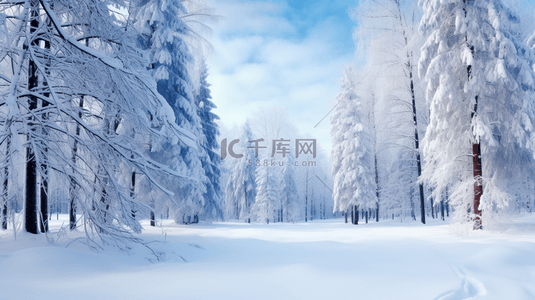 冬季雪景树林风景图片10
