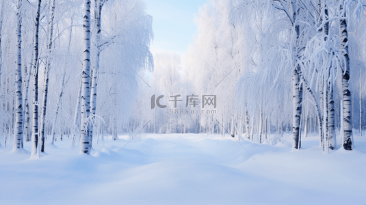 冬季雪景树林风景图片17