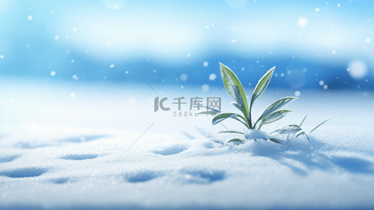 冰天雪地冬季雪景图片3