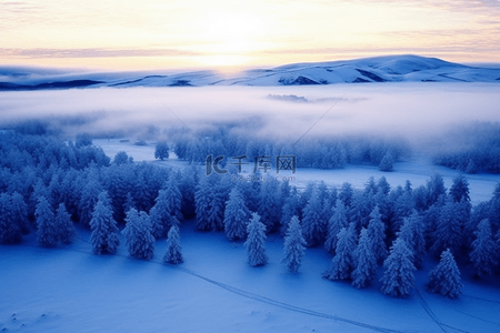 冬天松树背景图片_日出冬天雪景唯美背景摄影图