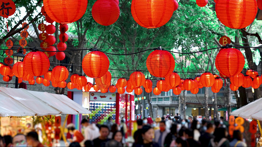 春节摄影照片_实拍春节等会集市喜庆传统置办年货人流