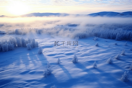 冬天松树背景图片_雪景冬天日出雪景背景摄影图