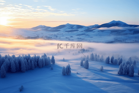 冬天松树背景图片_日出雪景唯美背景冬天摄影图