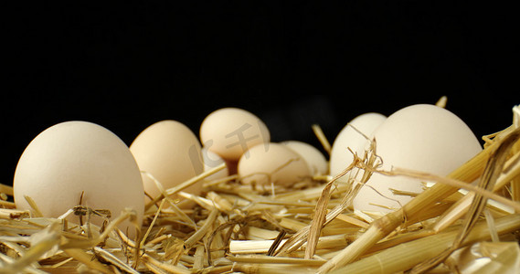 农家土鸡蛋鸡蛋蛋黄营养鸡蛋产品餐饮营销广告宣传