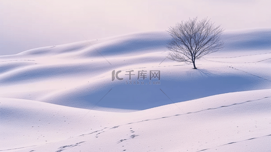 壁纸图片背景图片_冬天自然风景雪地里的一棵树背景图片
