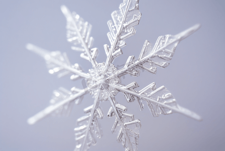 下雪图片摄影照片_寒冷冬季雪花装饰图片1205
