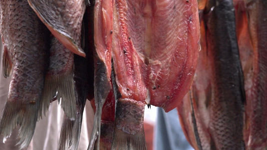 风干鸡广告摄影照片_年味风干腊鱼特色食物实拍