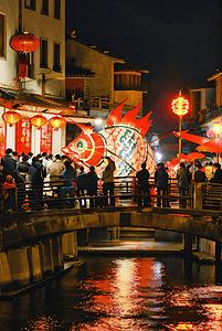 中国传统过年春节热闹灯会摄影图片2